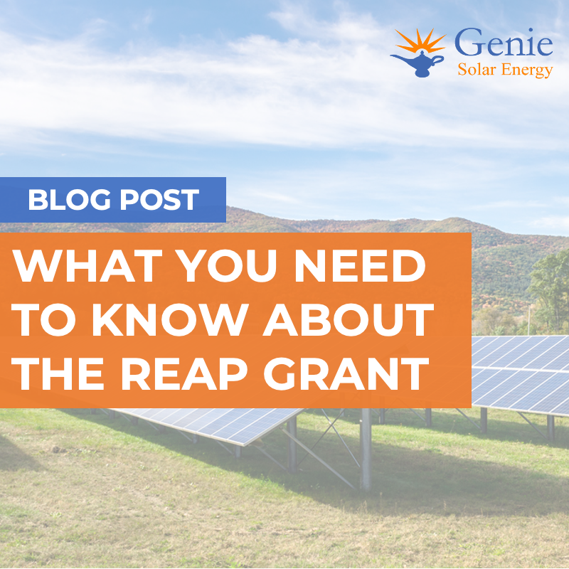 REAP Grant Solar