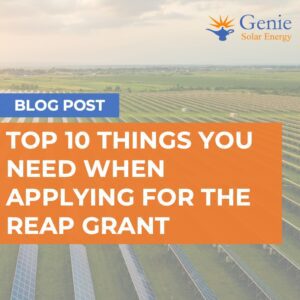 How to Apply for the REAP Grant