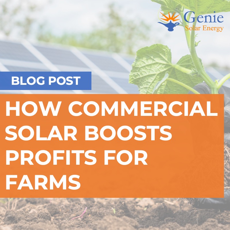 How Commercial Solar can boost profits for farms