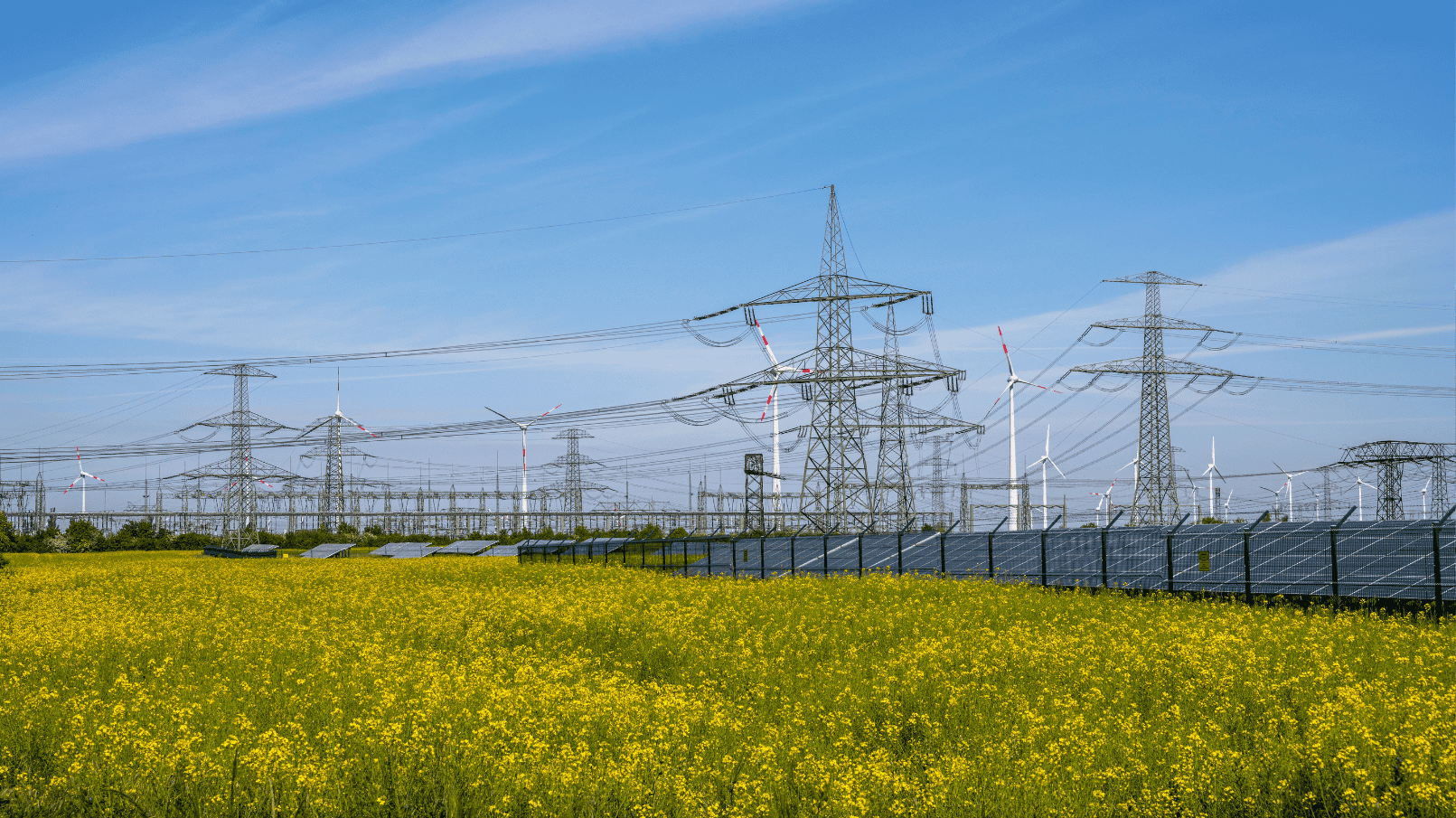 solar-panles-in-front-of-power-lines